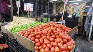 Tomatoes are pictured at a stall in a public market in Mexico City, capital of Mexico, July 14, 2025. The U.S. Department of Commerce announced Monday it is immediately placing a 17.09 percent duty on most fresh tomatoes imported from Mexico, marking a withdrawal from the 2019 agreement between the two countries to suspend the antidumping investigation on fresh tomatoes. (Photo: Xinhua)