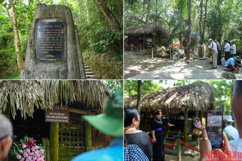 Tan Trao banyan tree - Echoes from the past to the future ảnh 9 Tan Trao banyan tree - Echoes from the past to the future ảnh 9