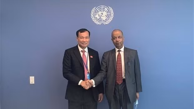 Vietnam looks to strengthen defence, security ties with US, UN ảnh 1