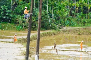 EVNCPC has mobilised maximum manpower, vehicles, and materials to restore power as quickly as possible.