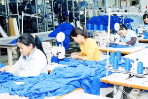 Textile and garment companies with a high proportion of cotton imports from the US, such as TCM, ADS, and Vinatex, stand to benefit. Photo: SONG ANH
