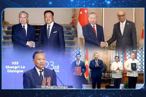 New horizons for cooperation between Viet Nam and Southeast Asian friends
