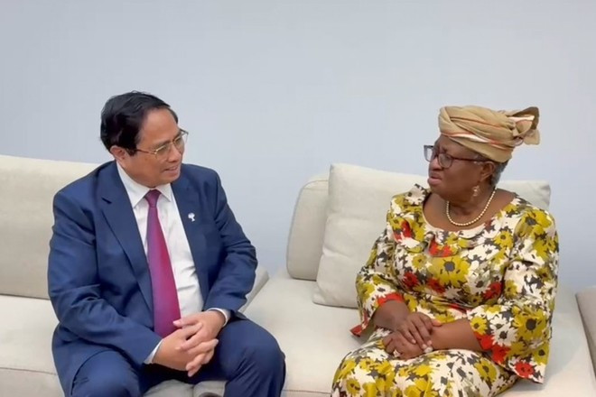 PM Pham Minh Chinh meets with WTO Director-General Ngozi Okonjo-Iweala in Rio de Janeiro on July 6. (Photo: Government Portal) PM Pham Minh Chinh meets with WTO Director-General Ngozi Okonjo-Iweala in Rio de Janeiro on July 6. (Photo: Government Portal)