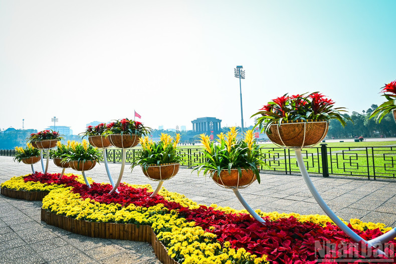 Along major roads, flower beds, floral stands and landscaped plant groupings are arranged harmoniously, forming a fresh and vibrant urban space.