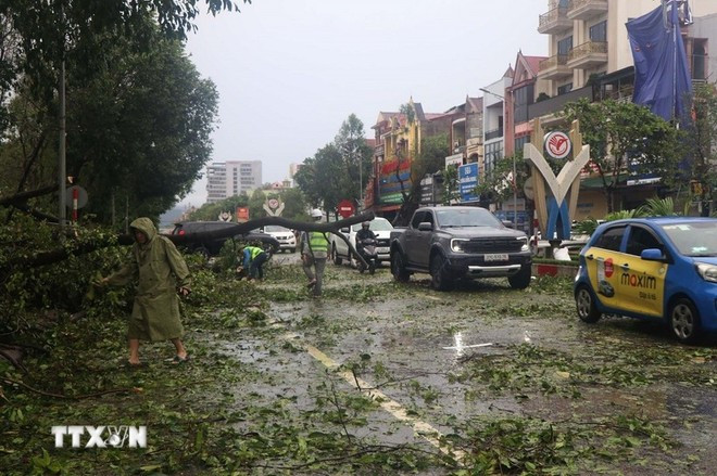 Trees fall on Le Duan street in Thanh Vinh ward, Nghe An province, due to Typhoon Kajiki (Photo: VNA) Trees fall on Le Duan street in Thanh Vinh ward, Nghe An province, due to Typhoon Kajiki (Photo: VNA)
