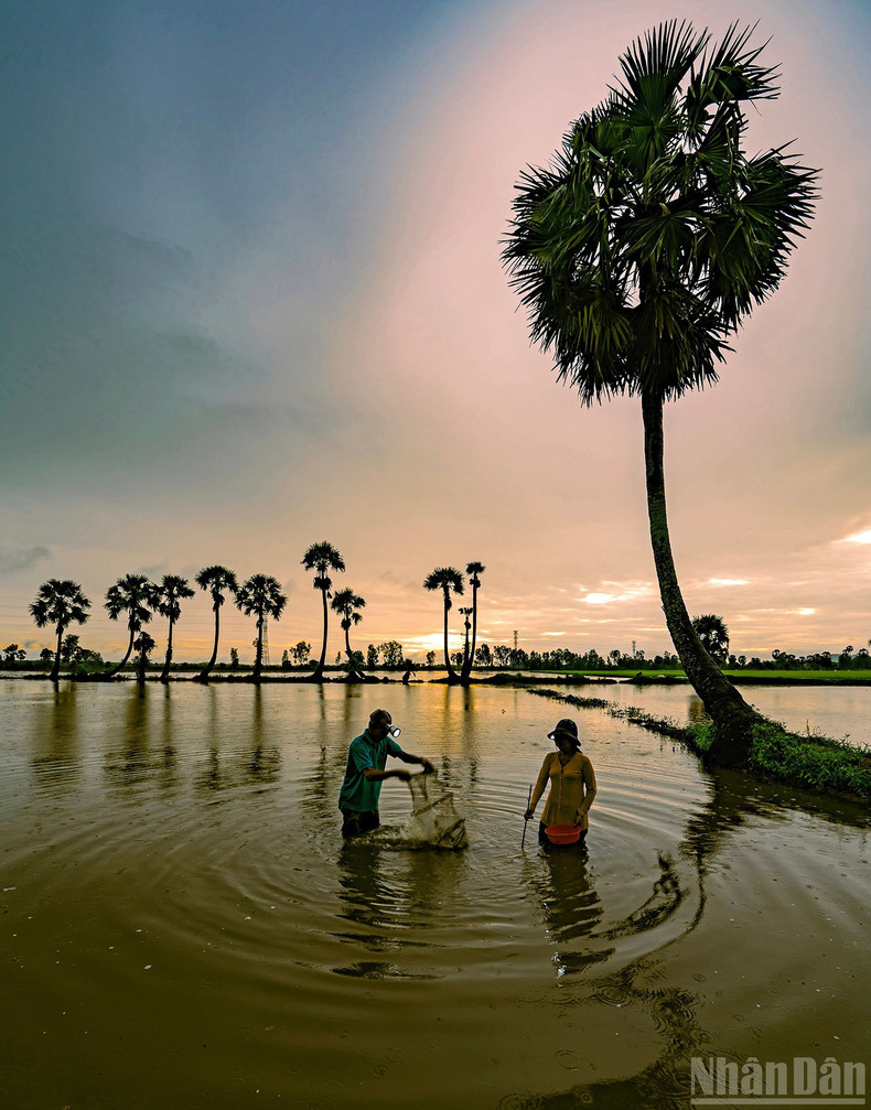 Dawn over the flooded fields.