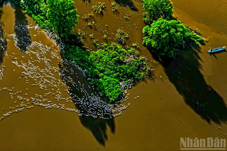 Evening shadows over the flooded region.