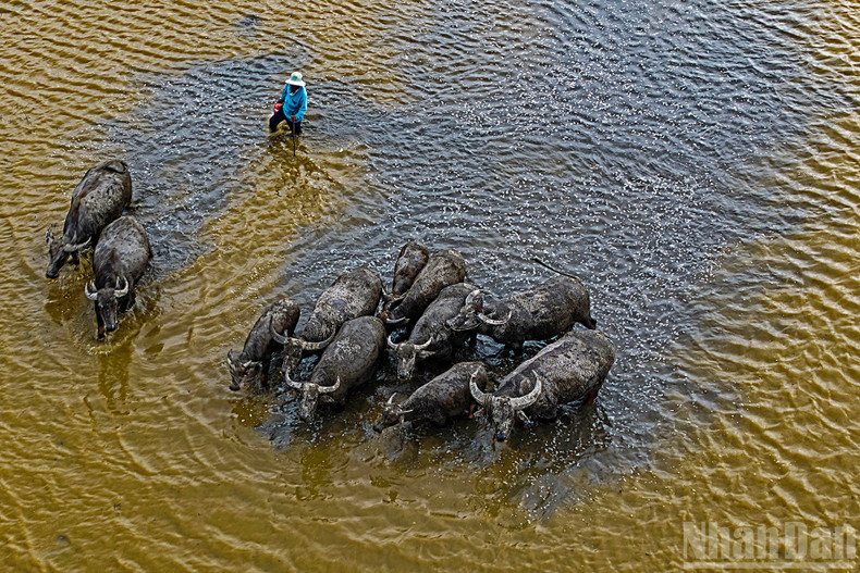 Alluvium and vitality.