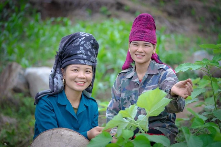 The raw material zone and hemp fibre factory of Thien Phuoc Company in Cam Thuy District (Thanh Hoa) creates jobs for nearly 1,000 local workers. tin-20.jpg