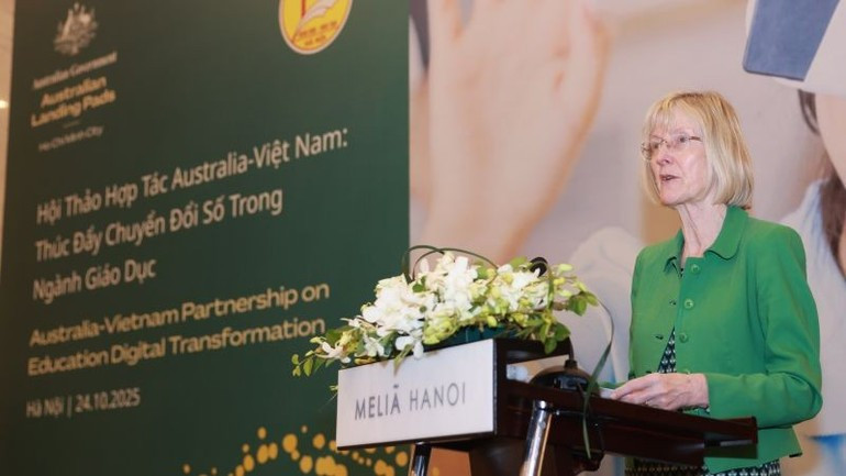 Australian Ambassador to Viet Nam Gillian Bird delivers remarks at the workshop. ausvn1.jpg