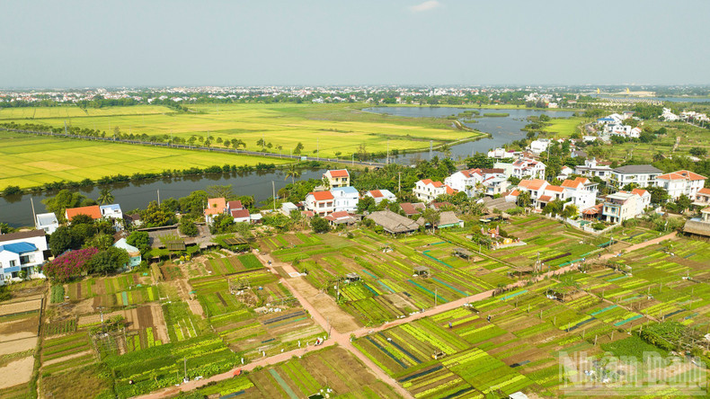 Tra Que vegetable village is one of the most popular tourist destinations. ndo-br-8.jpg
