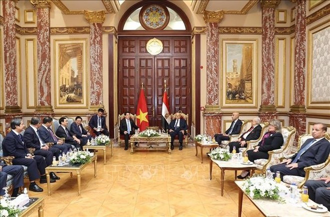 At the meeting between Vietnamese State President Luong Cuong and President of the Egyptian Senate Abdel-Wahab Abdel-Razeq. (Photo: VNA) At the meeting between Vietnamese State President Luong Cuong and President of the Egyptian Senate Abdel-Wahab Abdel-Razeq. (Photo: VNA)