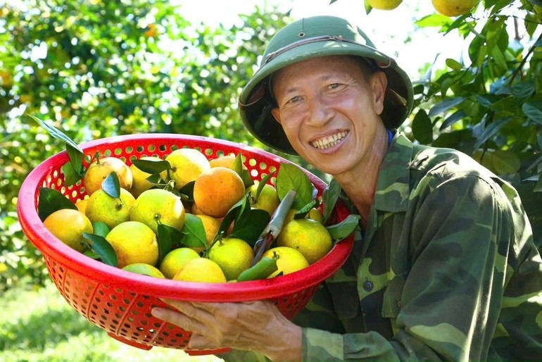 The North Central region has great potential to form specialised cultivation areas for crops such as pineapple, tea, and citrus fruits. z6878128541877-89d52b58cd55c6f47c534640f5378898.jpg
