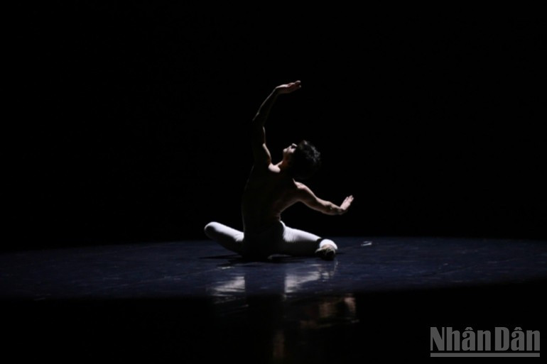 All performances in the "Cuba Ballet" programme are delivered by artists of the Cuban National Ballet (Ballet Nacional de Cuba)—currently one of the most renowned ballet companies in the world. tin-5.jpg
