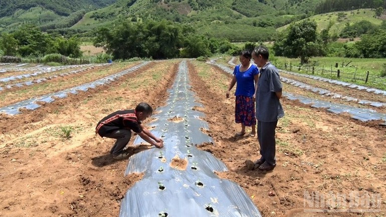 Localities need to create livelihoods for people so that they can develop a sustainable economy. vinh-thanhstill001.jpg
