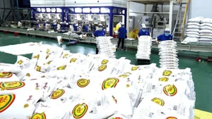 Processing rice for export at Trung An High-tech Farming JSC. (Photo: Vu Sinh)