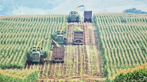 TH Group is a prime example of sustainable investment in high-tech agriculture and the circular economy.