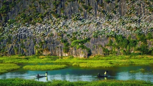 Van Long Nature Reserve in Ninh Binh Province.