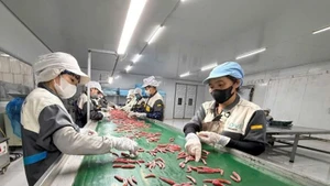 Private enterprises have invested in advanced agricultural processing lines to boost productivity and raise the value of exported goods.