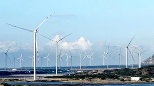 A wind farm in southern Khanh Hoa. (Photo: Nguyen Trung)