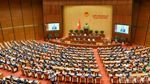 In pictures: 15th National Assembly convenes 10th plenary meeting