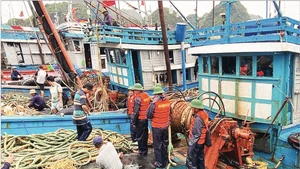 Boats in Hai Phong are secured as Typhoon Wipha approaches. (Photo: Hong Minh)