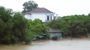 Flooding caused by Wipha-triggered rain in Nghe An Province. (Photo: VNA)