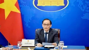 Acting Foreign Minister Le Hoai Trung (Photo: VNA) 