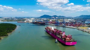 Tan Cang – Cai Mep International Port in Ho Chi Minh City. (Photo: VNA)
