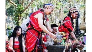 In pictures: Preserving the spirit of new rice amid the Dak Rang highlands