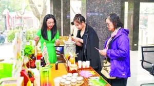 Kombucha tea products of Viet Green Trading and Import-Export Joint Stock Company have received positive feedback from consumers for their quality.