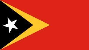 Viet Nam congratulates Timor-Leste on 50th Independence Day