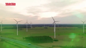 Video: Net Zero – Journey towards green future
