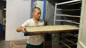 Longans with seeds removed are placed into the kiln for drying.