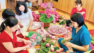 The Huong Thuy Lotus Tea Cooperative steps up production towards the year-end.