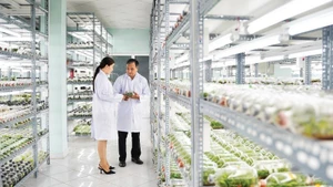 The plant tissue culture laboratory at the Ho Chi Minh City High-Tech Agricultural Park.