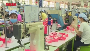 Video: Ha Noi implements eight task groups to develop private economy