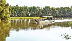 Visitors explore Tram Chim National Park. (Photo: Huu Tai)