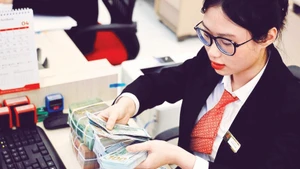 Viet Nam’s foreign currency market remains under control despite short-term fluctuations in exchange rates.