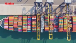 Video: Ho Chi Minh City renews policies to accelerate growth