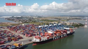Video: Viet Nam’s trade turnover nears 840 billion USD in 11 months