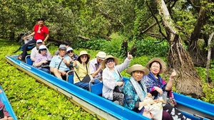 Visitors at a mangrove forest in southwestern Viet Nam. (Photo: Nam Anh)