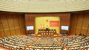 An overview of the national conference to disseminate and implement the Resolution of the 14th National Party Congress (Photo: VNA)