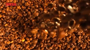 Video: Vietnamese coffee benefits from world prices, reaches 2-week peak