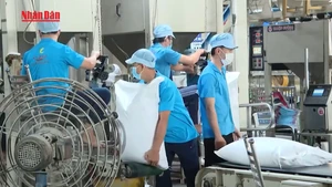 Video: Viet Nam tops global rice price rankings for equivalent grade