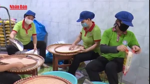 Video: Vietnamese rice exporters expand reach to distant markets