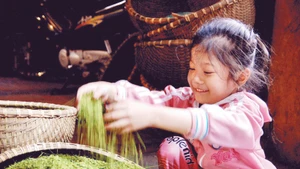 A girl plays with green rice.