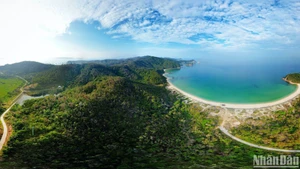 A small corner of Thanh Lan’s endless green, seen from above.