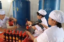 Fish sauce producers in Ca Na Commune (Khanh Hoa Province) are busy to prepare products for the Tet market. (Photo: NGUYEN TRUNG)