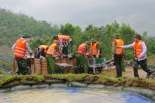 Practising civil defence for responding to incidents relating to dykes and reservoirs. (Photo: VNA)